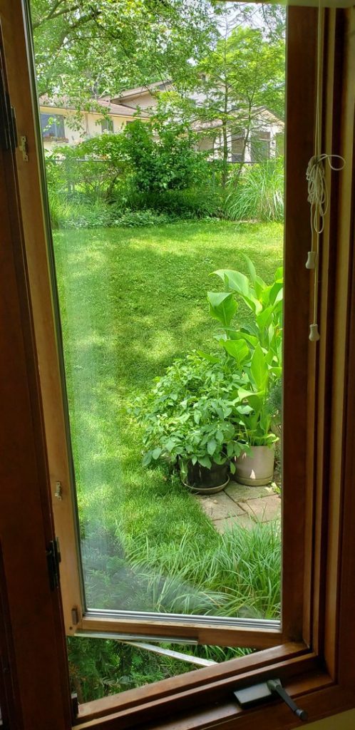Glass replacement
