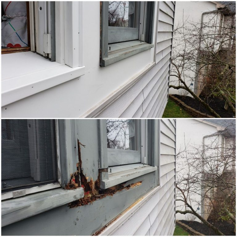 Rotted windows