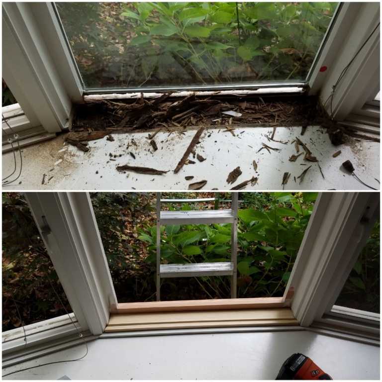 Rotted windows