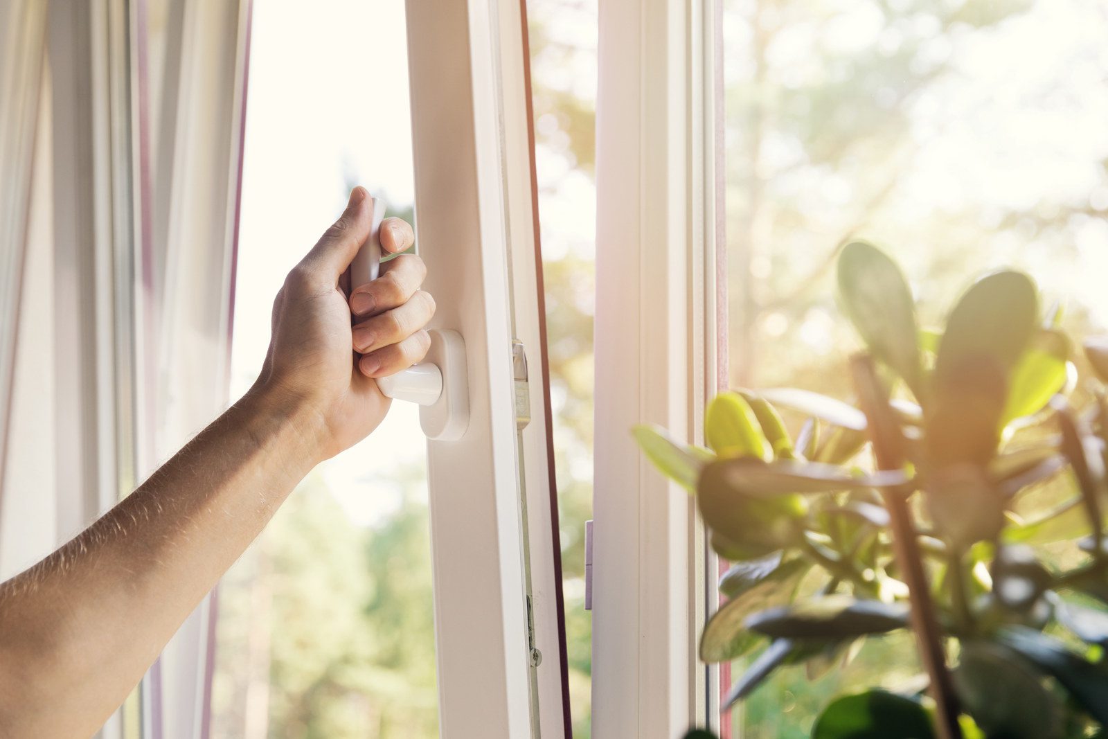 Common causes behind a stuck window sash