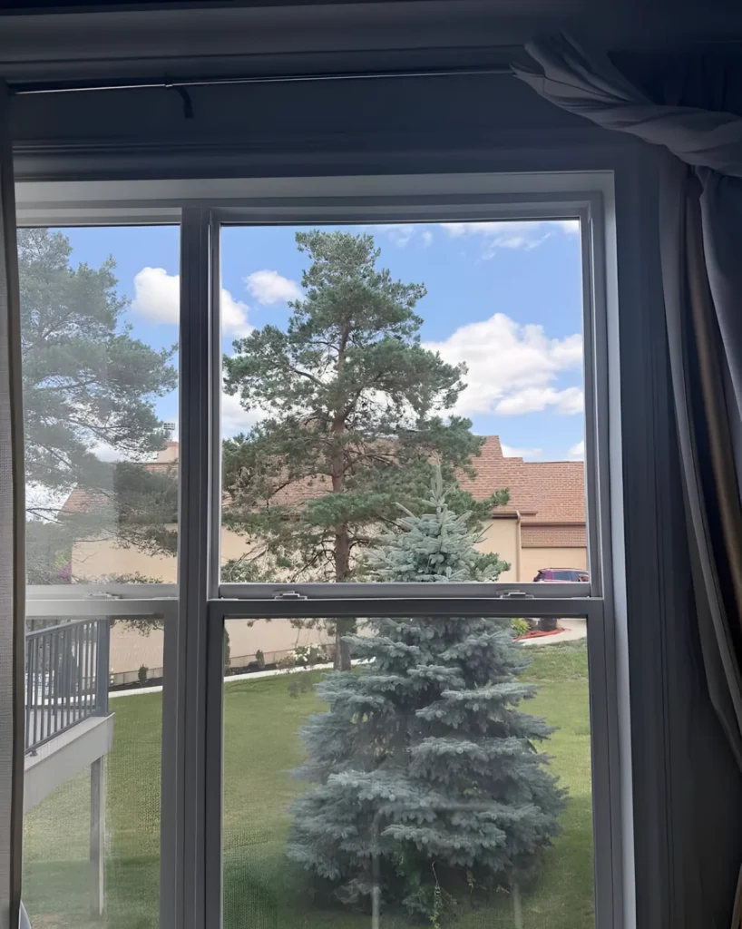Finished double-hung window with a blue spruce and a pine tree outside