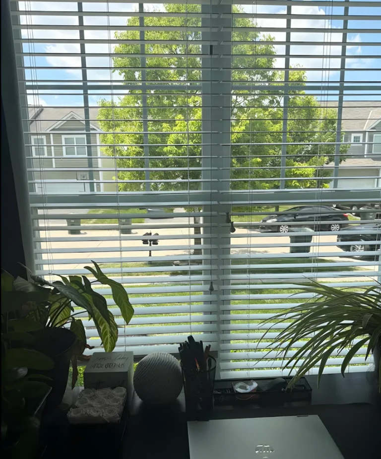 Window with white horizontal blinds above a desk with plants, a laptop and notebooks, tree-lined street outside
