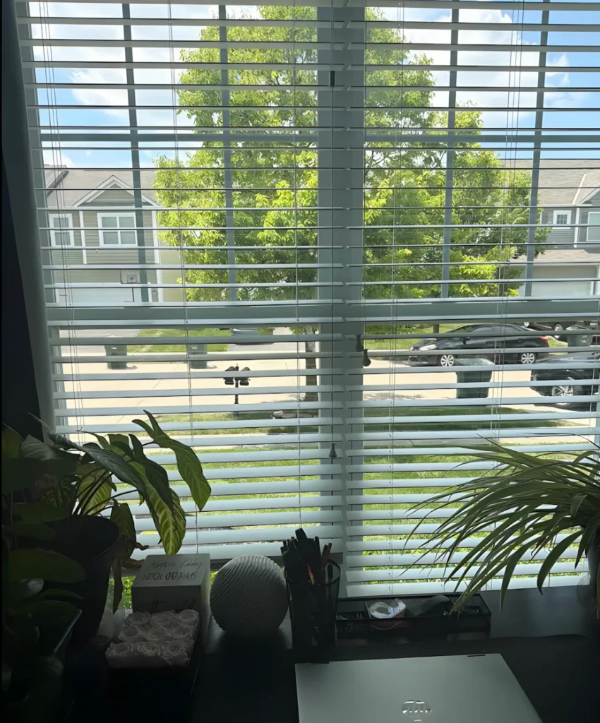 Window with white horizontal blinds above a desk with plants, a laptop and notebooks, tree-lined street outside