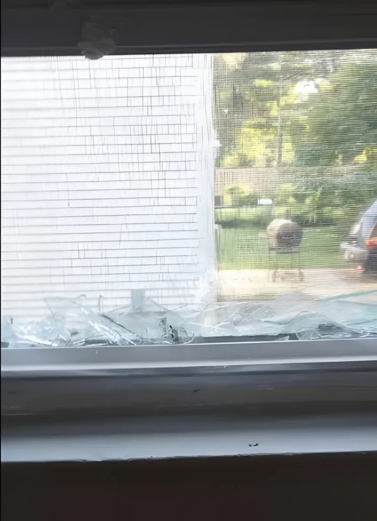 Shards of broken glass lying along the bottom of a window sash behind an insect screen, trees and a fence outside