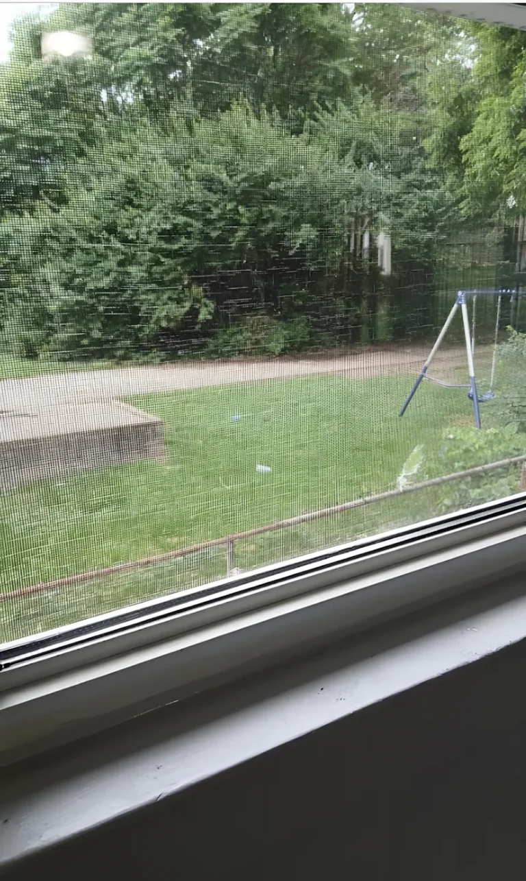 Clean window with an insect screen overlooking a backyard with a swing set and a garden path