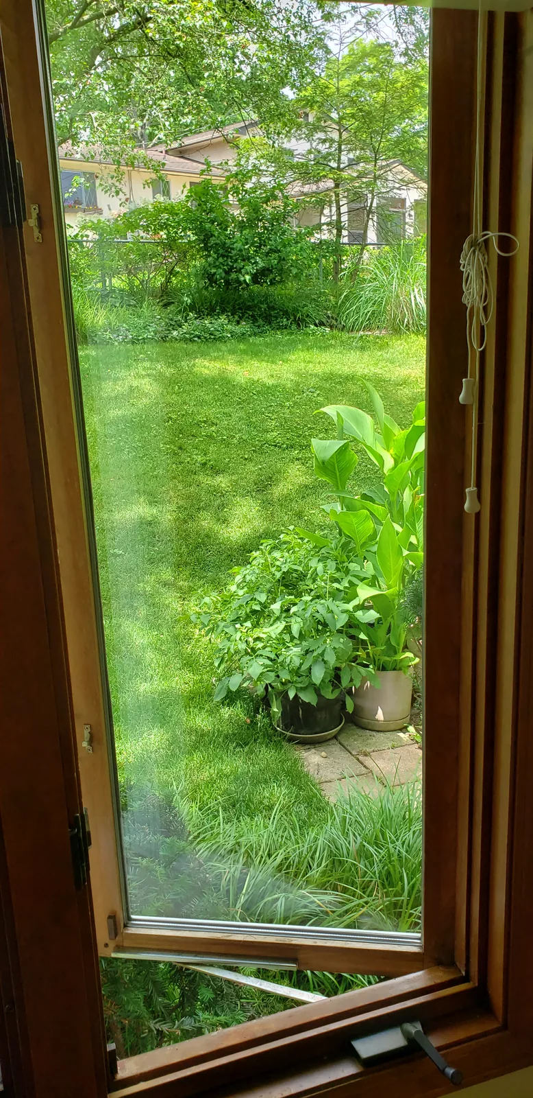 Clear window glass after insulated glass replacement
